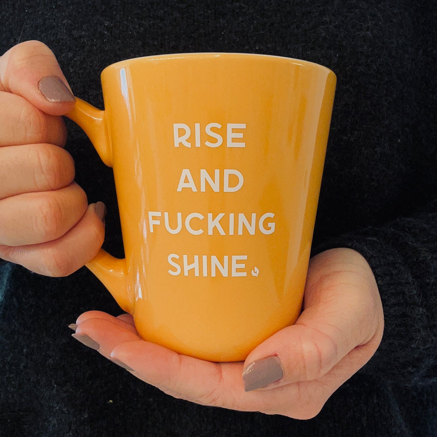 ☀️Funny Coffee Cup Rise and Fuc*ing Shine Coffee Mug Sarcastic Motivational Cup